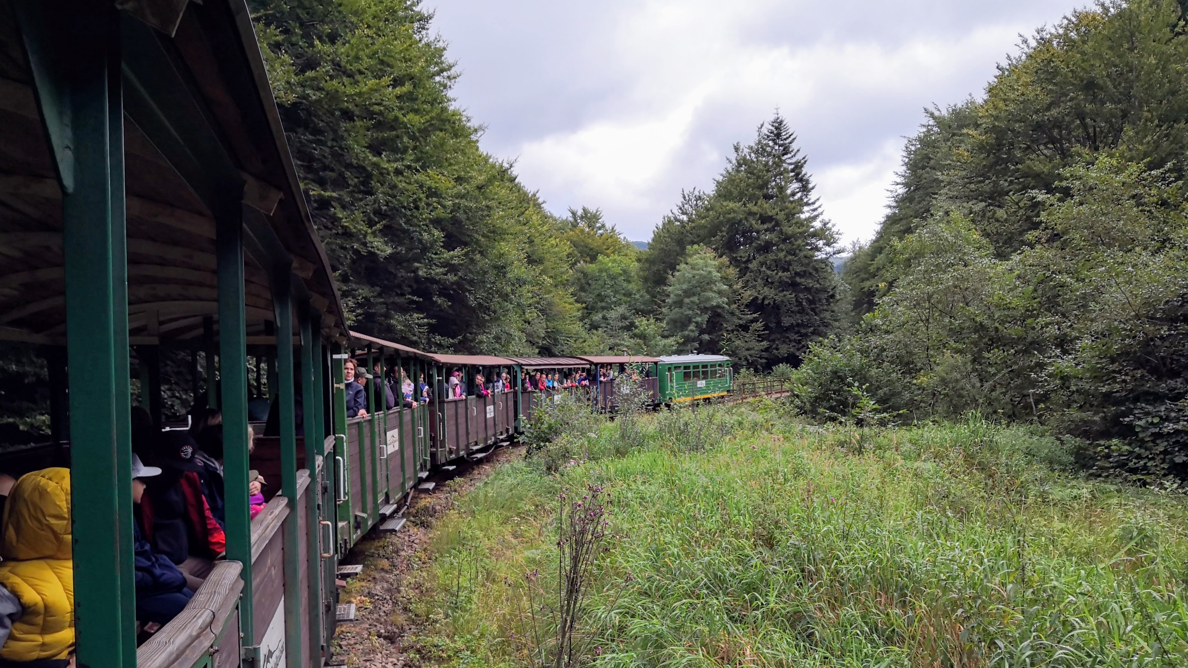 Bieszczadzka Kolej Leśna